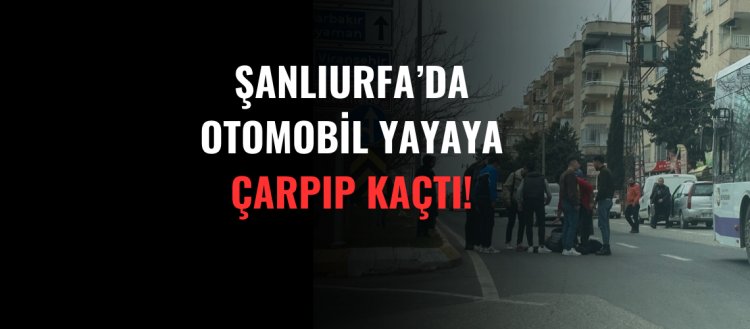 Şanlıurfa'da Otomobil Yayaya Çarpıp Kaçtı!